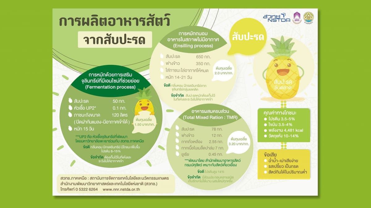 รับออกแบบ infographic