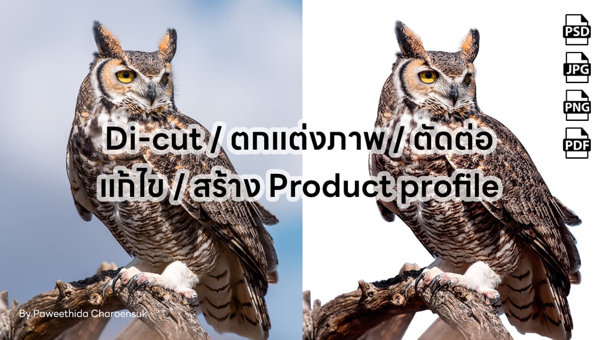 รับ Di-cut ตกแต่งภาพ ตัดต่อ แก้ไข สร้าง Product profile และอื่นๆ