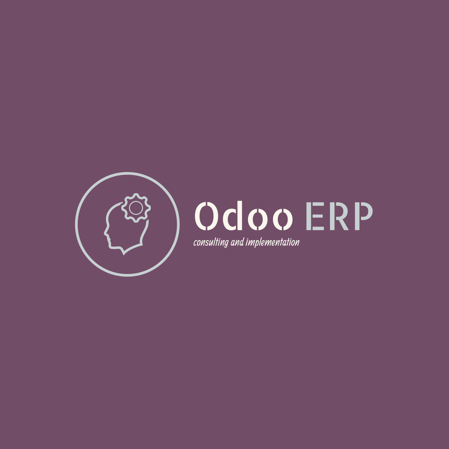จัดการงาน ERP Project ทั้งให้คำปรึกษา วิเคราะห์ ออกแบบ และควบคุมขั้นตอนการทำงาน รวมไปถึงการ Implement ระบบ ERP