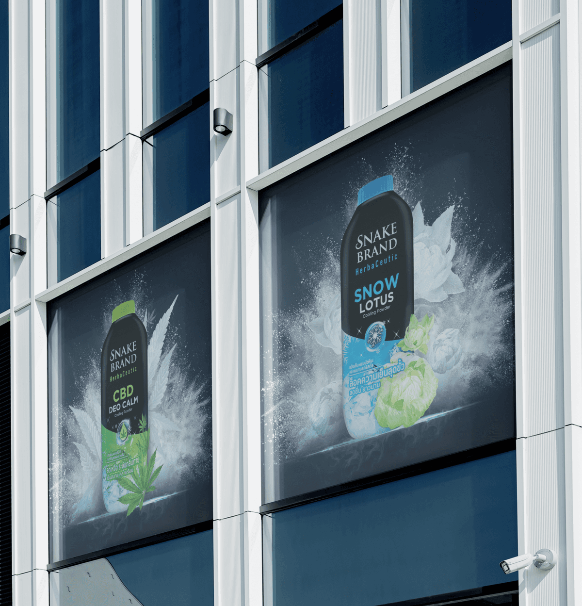 Branding, Packaging,