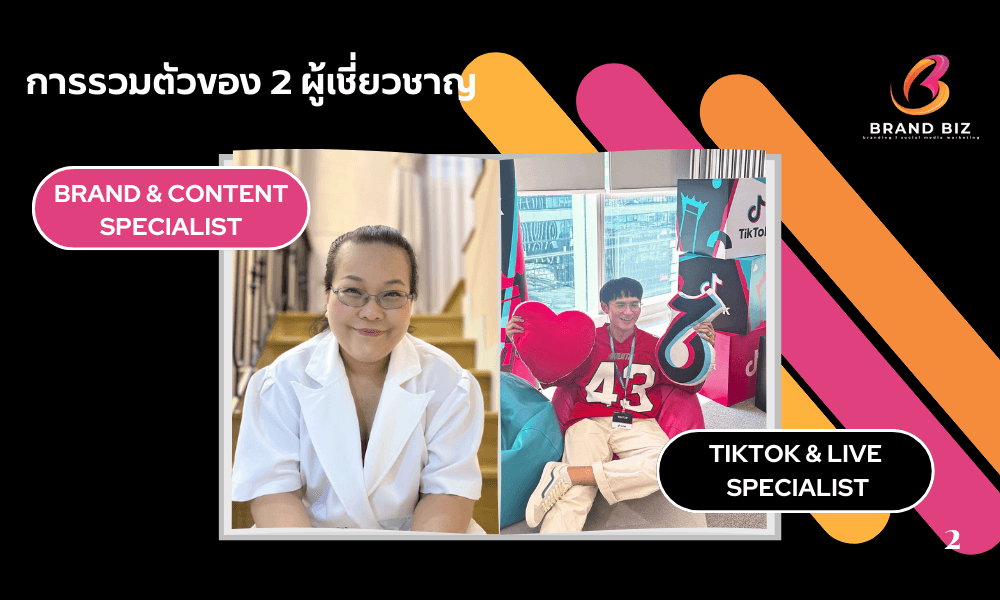 Branding / Rebranding Consultant
